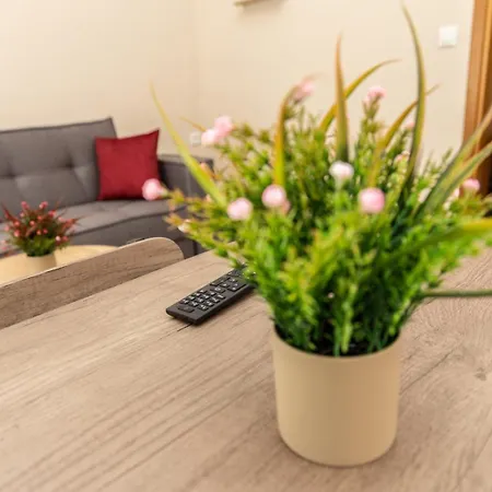 Apartament Pukki *
